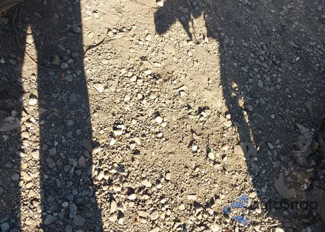 2007 Honda Accord 2.4 Lx из США, поврежденный, VIN 1HGCM56427A183531